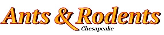 Chesapeake Ant Exterminator & Rodent Control Company Logo